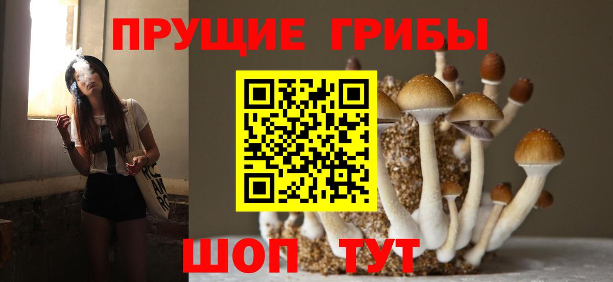 Галлюциногенные грибы Magic Shrooms  Вход с VPN  Северобайкальск 